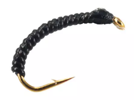 Gambe Corégone RIB UNIVERSAL