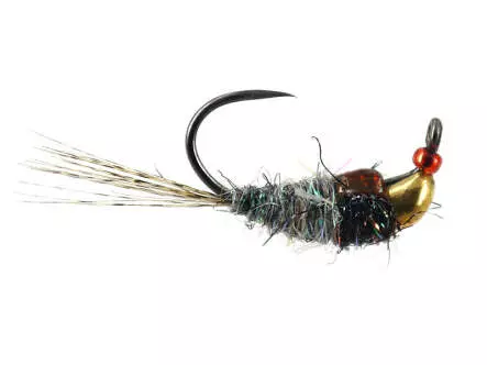 Javi TG BL Nymph