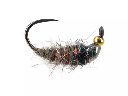 Hares Golden Beaded Javi TG BL