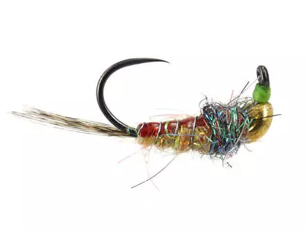 Classic Golden Javi TG BL Nymph