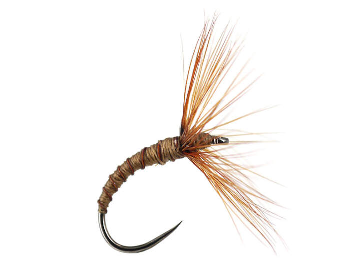 Tigofly Lot de 12 mouches Tenkara Kebari inversées pour pêche à la mouche sèche, saumon, truite, pêche à la mouche (assorti Tigofly Lot de 12 mouches Tenkara Kebari inversées pour pêche à la mouche sèche, saumon, truite, pêche à la mouche (assorti