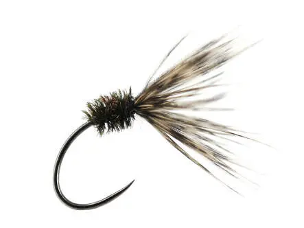 Sakasa Kebari All Peacock