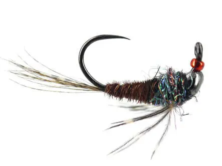 Pheasant Spider II Javi TG BL 10