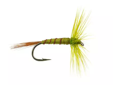 French PL Olive Ribbed
