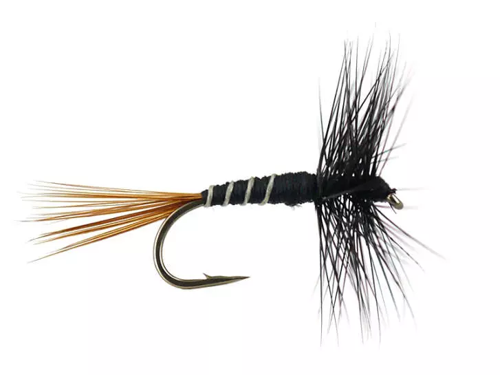 French PL Black Ribbed
