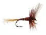 French PL Brown Winged