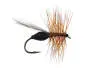 French PL Black Ant