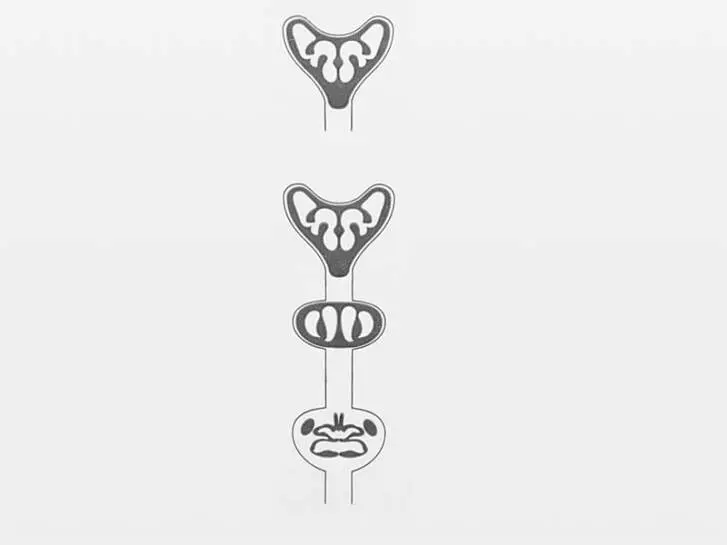 Film plastique pour ailes Nymphes Stonefly - taille S1