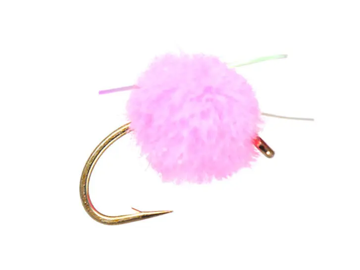 Egg Pink Flash 6