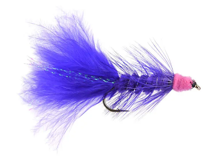 Egg Sucking Leech Purple