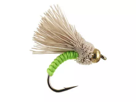 B.H. Serendipity Chartreuse