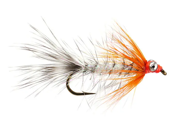 MW Hot Magnus 8