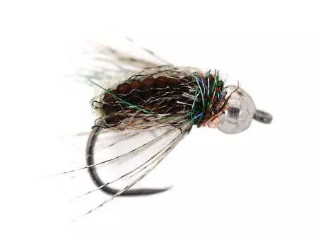 Brown Comp. Caddis Naturfil Pupa TG BL
