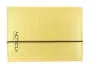 Boîte à Mouches FOAMWALLET BARBLESS - gold