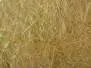 HARE DUBBING PLUS hotfly - 1 g - light olive