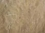 UV-BLEND DUBBING hotfly - 1 g - light brown