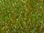 ICE DUBBING hotfly - 1 g - olive