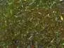 ICE DUBBING hotfly - 1 g - olive brown