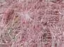 LONG HAIR HOLOGRAPHIC textreme - large - 300 cm - pearl /...