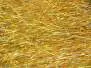 HOLO ANGEL HAIR hotfly - 2 g gold