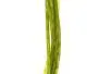 NATURFIL hotfly - 150 cm - Ø 0,5 mm - olive