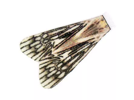 X-TRUE CADDIS WINGS hotfly - 10 pc.