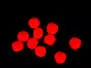 FISH EGGS hotfly - 10 pc. - 7 mm - red