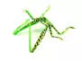 SILIFOAM HOPPER LEGS hotfly - 5 pc. - L - green