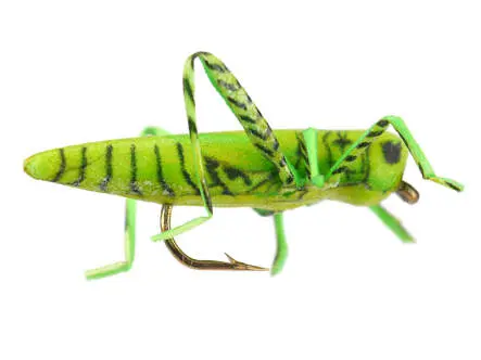 X-true Hopper Green 10