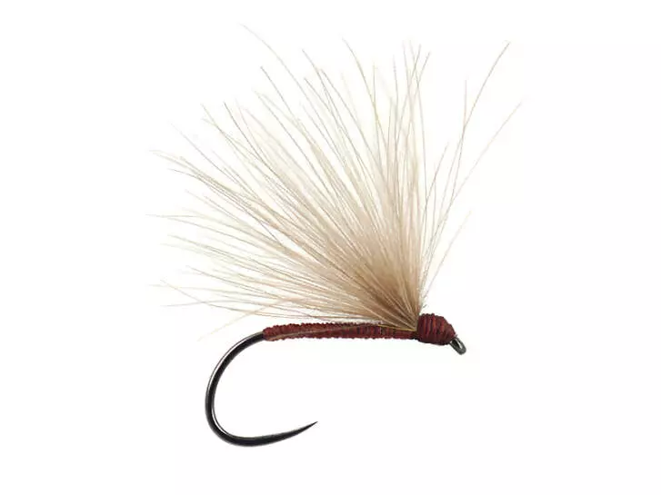 Brown Fratnik Simply Good BL