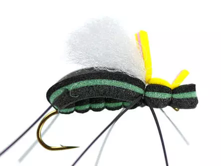 Mauro Raspinis Escarabajo 45° Green