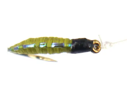 Pearl Back Chiro Olive 16