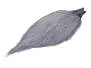 COU DE COQ keough hackles - grade 2