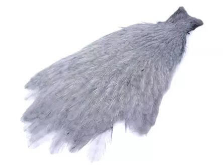 COU DE POULE PREMIUM hotfly