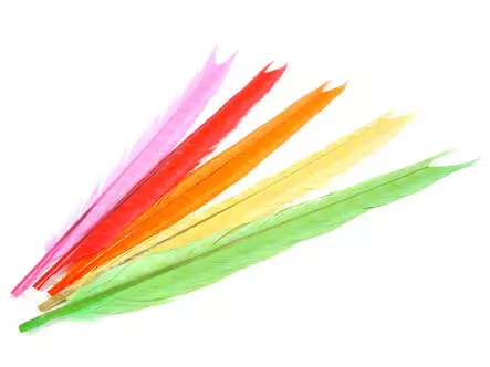 PLUME BLEACHY DE QUEUE DE FAISAN 1° CHOIX hotfly - 1...