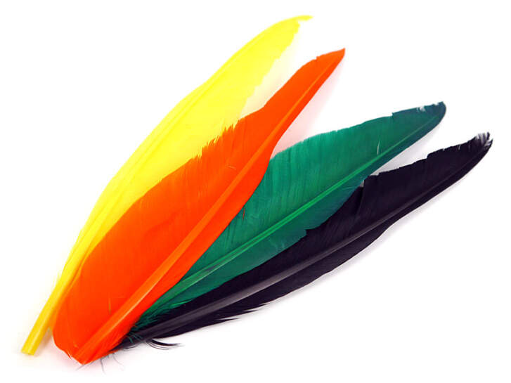 PLUME QUILL DE OIE (GOOSE QUILL FEATHER) hotfly - 1 pcs....