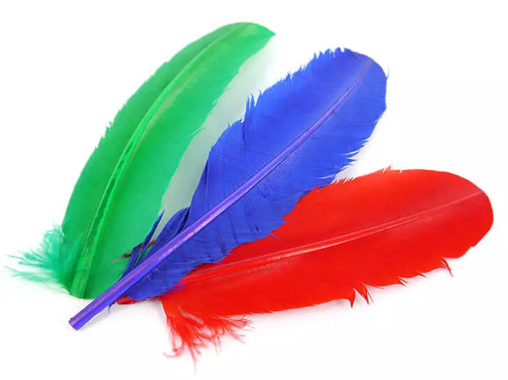 PLUME DE DINDE (TURKEY FEATHER) hotfly - 1 pcs.