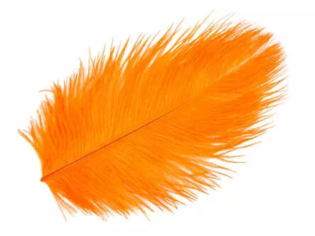 PLUME DAUTRUCHE (OSTRICH HERL) hotfly - 1 pcs. - ca. 20 cm