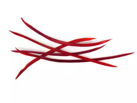 BIOTS DE DINDE (TURKEY BIOTS) XL-PACK hotfly - 5 pcs. - ca. 15 cm