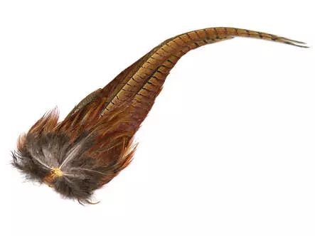 QUEUE DE FAISAN MÂLE COMPLÈTE hotfly