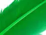 PLUME DE DINDE (TURKEY FEATHER) hotfly - 1 pcs. - green