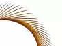 BIOTS DE DINDE (TURKEY BIOTS) XL-PACK hotfly - 5 pcs. -...