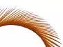 BIOTS DE DINDE (TURKEY BIOTS) XL-PACK hotfly - 5 pcs. -...