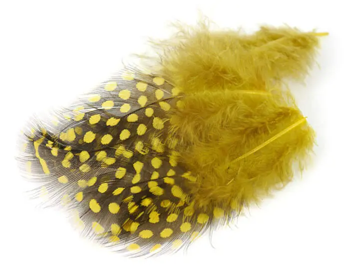 PLUMES DE PINTADE (GUINEA FOWL) hotfly - 10 pcs. - 6/10 cm - yellow