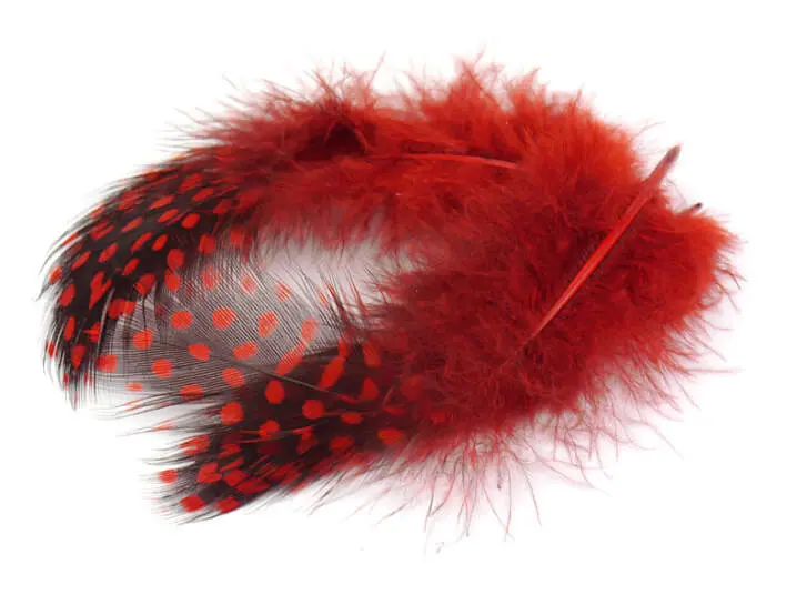 PLUMES DE PINTADE (GUINEA FOWL) hotfly - 10 pcs. - 6/10 cm - red