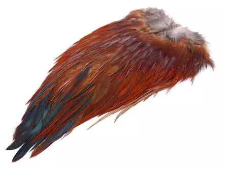 SELLE DE COQ basic fly fishing