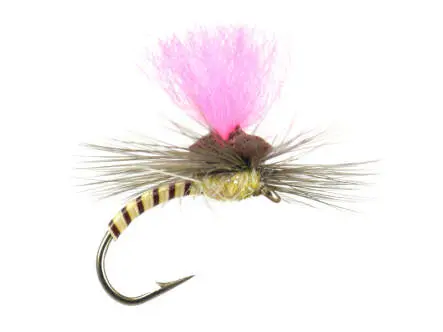 Cream Synquill Klinkhamer