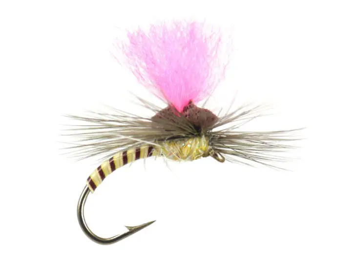 Cream Synquill Klinkhamer 12