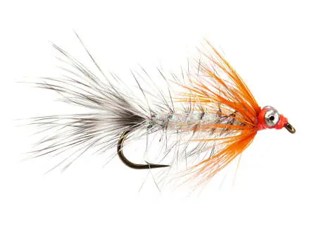 MW Hot Magnus 10