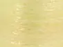 EVO BODY QUILL hotfly - 0,04 mm - 22 m - light yellow